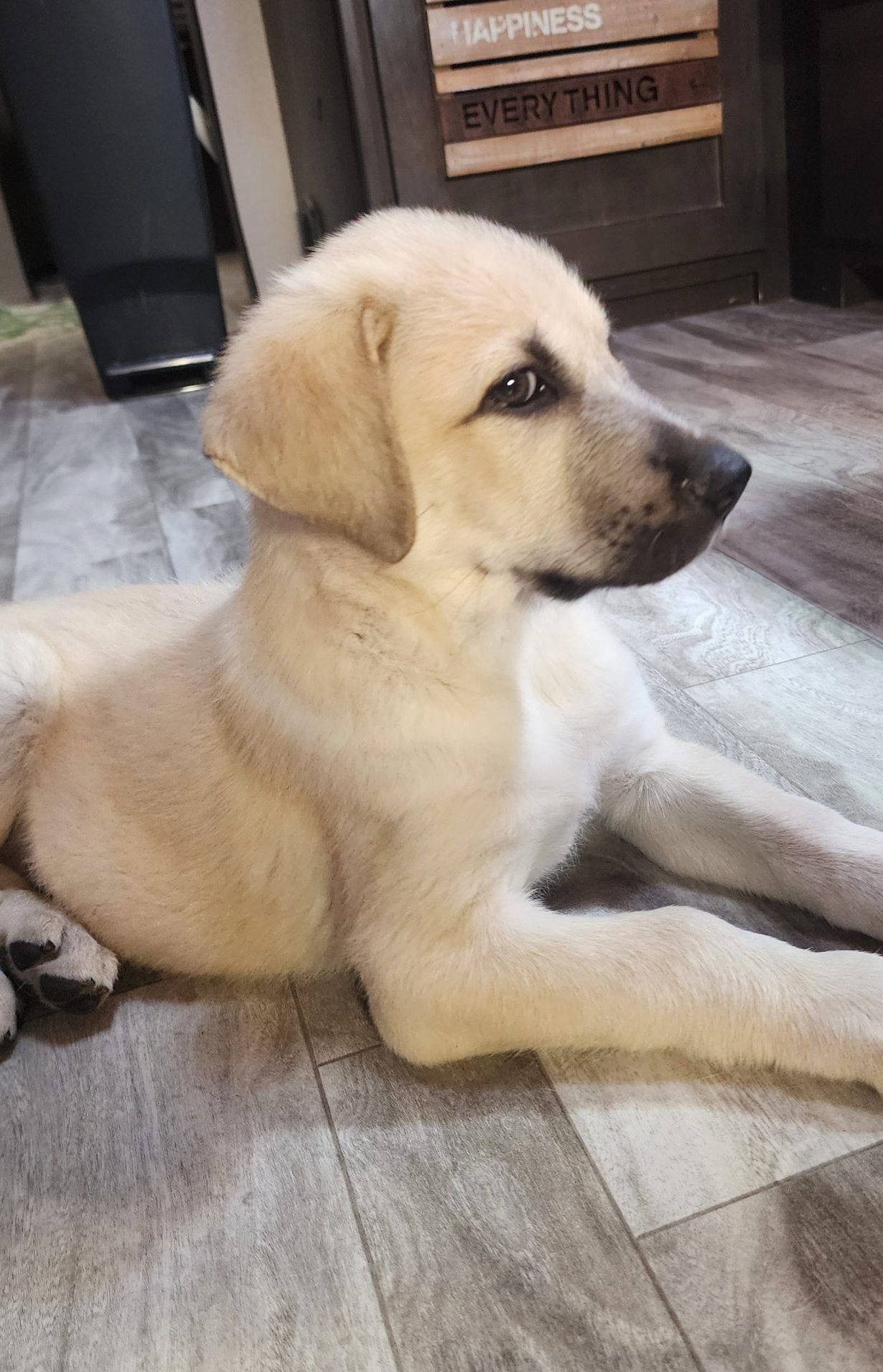 Deke looking like he's got something to say.