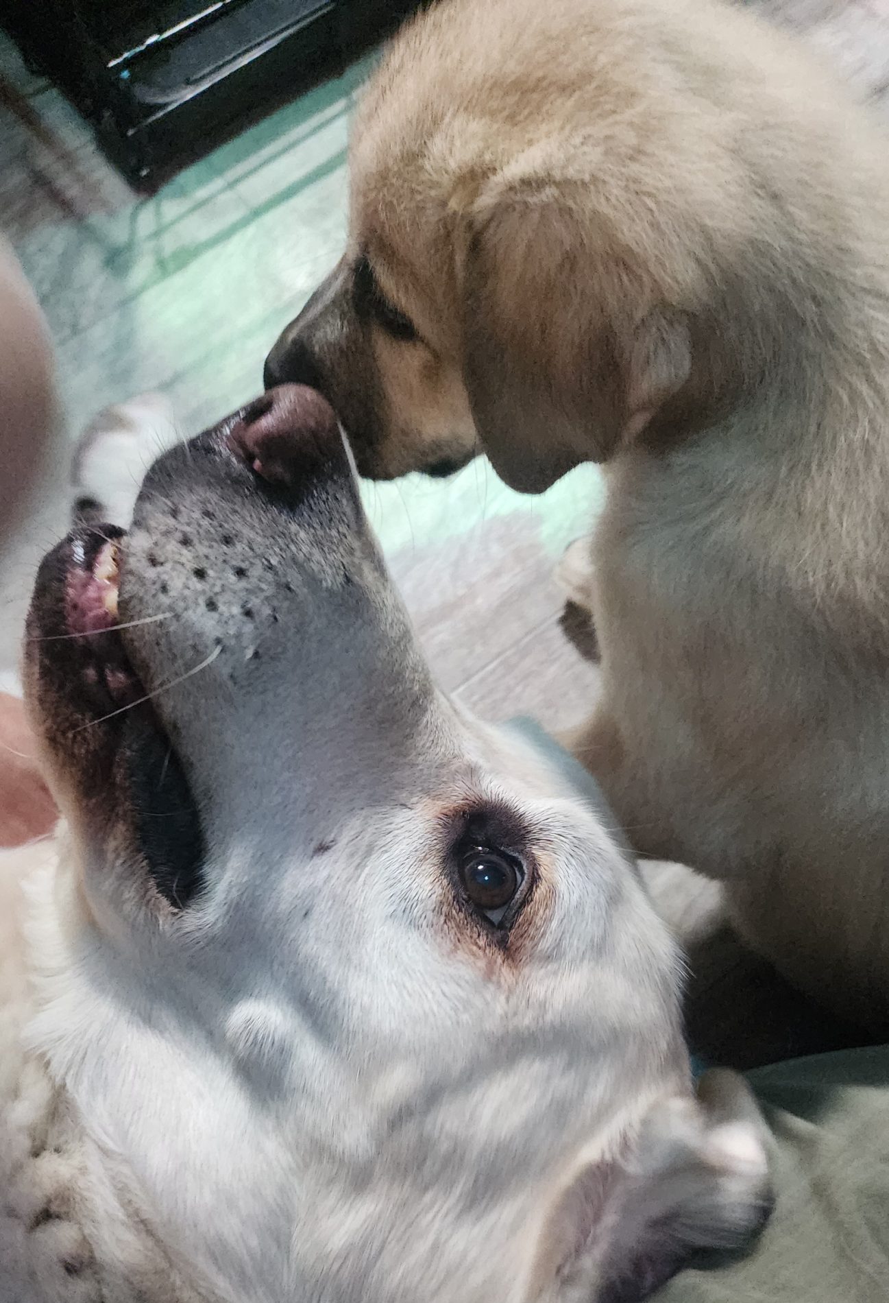 "Did we just become best friends?"
